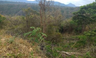 VENDO FINCA 7 Hectáreas en PANDI Cundinamarca.