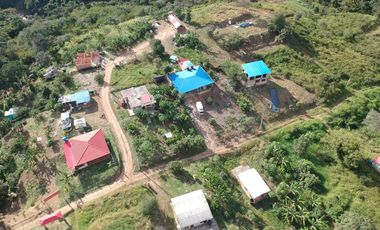 VENDO FINCA en PANDI  Cundinamarca 10 Hectáreas a 7 kilómetros del Boquerón.