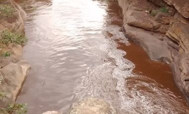 VENDO FINCA en PANDI  Cundinamarca 10 Hectáreas a 7 kilómetros del Boquerón.