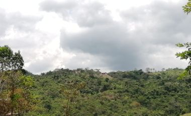 VENDO FINCA en PANDI  Cundinamarca 10 Hectáreas a 7 kilómetros del Boquerón.