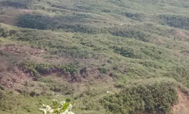 VENDO FINCA en PANDI  Cundinamarca 10 Hectáreas a 7 kilómetros del Boquerón.