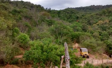 VENDO FINCA en PANDI  Cundinamarca 10 Hectáreas a 7 kilómetros del Boquerón.