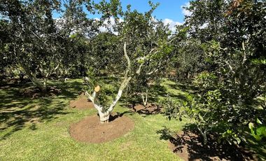 CASA CAMPESTRE MESA DE LOS SANTOS