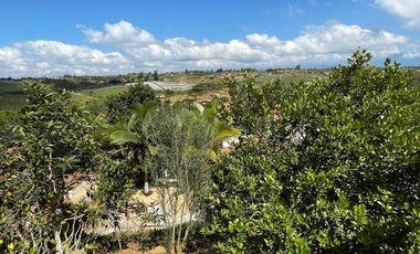 CASA CAMPESTRE MESA DE LOS SANTOS