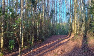 Ultimas Unidades!!!! Parcelas en Relún!