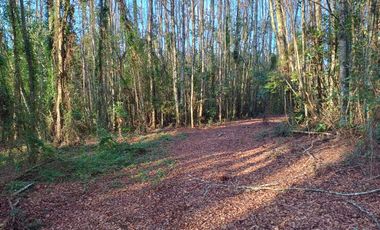 Ultimas Unidades!!!! Parcelas en Relún!