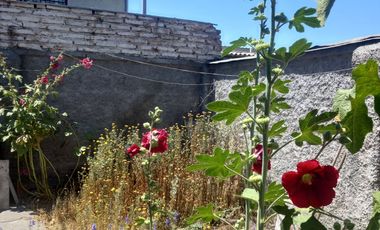 CASA 3 DORMITORIOS Y 1 BAÑO BARRIO SANTA BLANCA EL BOSQUE