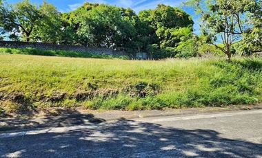 Residential Lot - Ayala Alabang Village