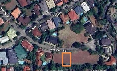 Residential Lot - Ayala Alabang Village