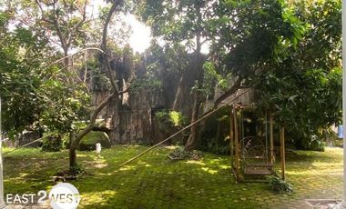 Dijual Rumah Jalan Basuki Rahmat Laweyan Kota Surakarta Luas Lokasi Strategis Nyaman Siap Huni