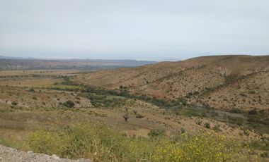 SE VENDE CAMPO EN EL SECTOR DE ALGARROBO COMUNA DE OVALLE