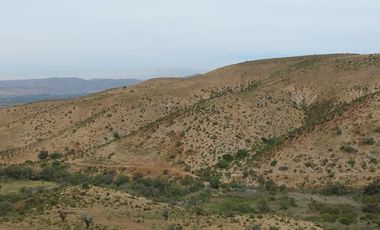 SE VENDE CAMPO EN EL SECTOR DE ALGARROBO COMUNA DE OVALLE