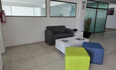 Edificio en Renta/venta. Metepec. Av Lerma. a 10 Min Parque Bicentenario