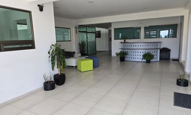 Edificio en Renta/venta. Metepec. Av Lerma. a 10 Min Parque Bicentenario