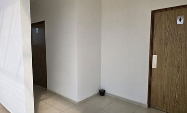 Edificio en Renta/venta. Metepec. Av Lerma. a 10 Min Parque Bicentenario