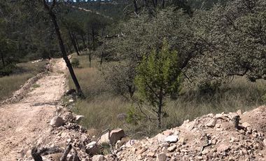 Terreno en Venta-Bosques de Montesión