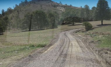 Terreno en Venta-Bosques de Montesión