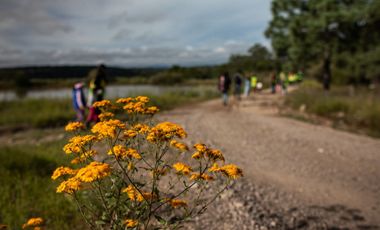 Terreno en Venta-Bosques de Montesión