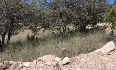 Terreno en Venta-Bosques de Montesión