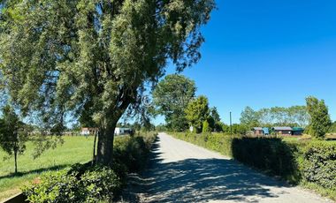 PARCELA FRUTILLAR CON BOSQUE NATIVO