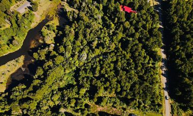 PARCELA FRUTILLAR CON BOSQUE NATIVO