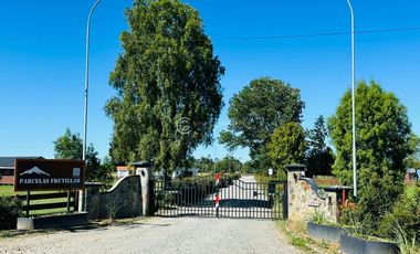 PARCELA FRUTILLAR CON BOSQUE NATIVO