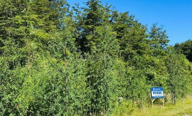 PARCELA FRUTILLAR CON BOSQUE NATIVO