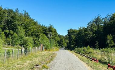 PARCELA FRUTILLAR CON BOSQUE NATIVO