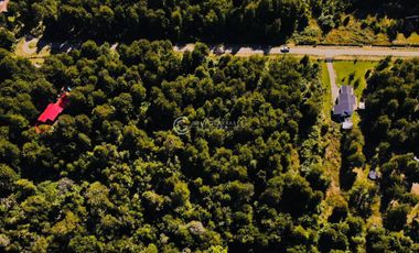 PARCELA FRUTILLAR CON BOSQUE NATIVO