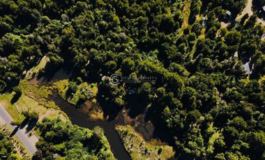 PARCELA FRUTILLAR CON BOSQUE NATIVO