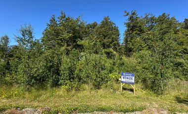 PARCELA FRUTILLAR CON BOSQUE NATIVO