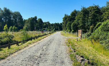 PARCELA FRUTILLAR CON BOSQUE NATIVO