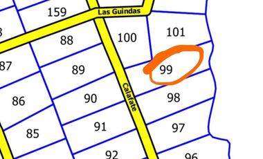 PARCELA FRUTILLAR CON BOSQUE NATIVO