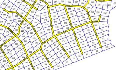 PARCELA FRUTILLAR CON BOSQUE NATIVO