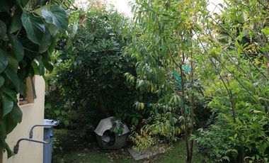 HERMOSA CASA EN VENTA EN PAKAKUNA – RODEADA DE NATURALEZA
