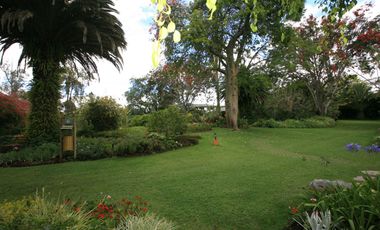 HERMOSA CASA EN VENTA EN PAKAKUNA – RODEADA DE NATURALEZA