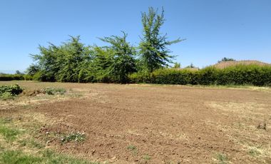 Se vende excelente y bonita parcela de agrado en Huilquilemu.