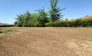 Se vende excelente y bonita parcela de agrado en Huilquilemu.