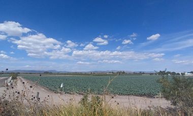 Terreno en venta en San José Iturbide Guanajuato cerca del parque Opción