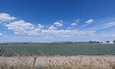 Terreno en venta en San José Iturbide Guanajuato cerca del parque Opción