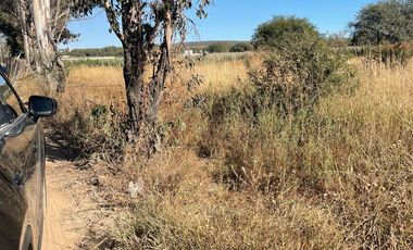 RENTA DE TERRENO EN GUADALUPE LA VENTA, EL MARQUES, MUY CERCA DEL AEROPUERTO, SOBRE AVENIDA