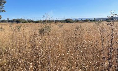 RENTA DE TERRENO EN GUADALUPE LA VENTA, EL MARQUES, MUY CERCA DEL AEROPUERTO, SOBRE AVENIDA