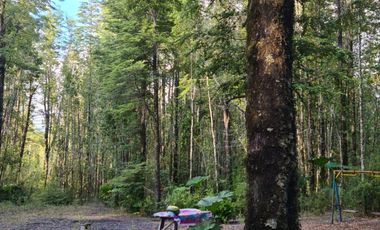 Parcela de 1 hectarea Ensenada Pto. Varas