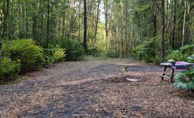 Parcela de 1 hectarea Ensenada Pto. Varas