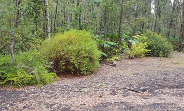 Parcela de 1 hectarea Ensenada Pto. Varas