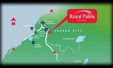 Royal Palms Toledo- 1 Storey Single Detached-Turriano