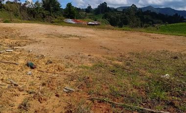 Lote para la venta semi urbano Marinilla Vereda La Planta, Escrituras 100%