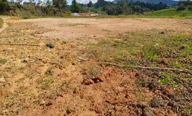 Lote para la venta semi urbano Marinilla Vereda La Planta, Escrituras 100%