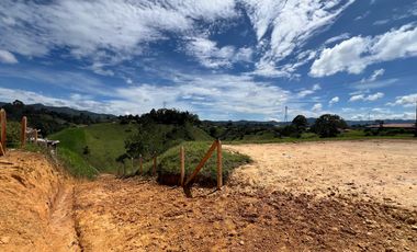 Lote para la venta semi urbano Marinilla Vereda La Planta, Escrituras 100%