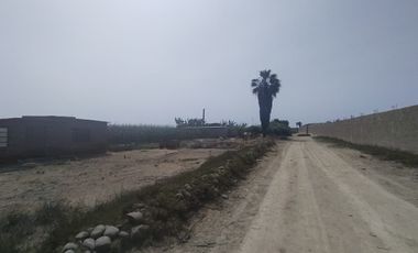Terreno Para Almacen En Aucallama A Pocos Metros Del Mar , Cerca Al Mega Puerto De Chancay